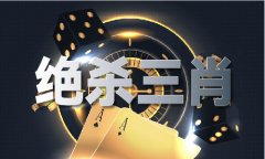 匹敌组织审查；特别是正在美国对中国电动汽车